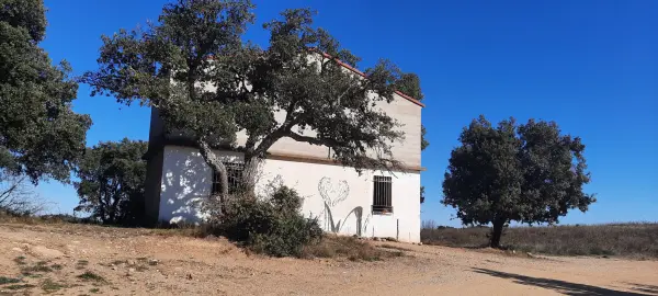 Vivès 66400 – Vente terrain