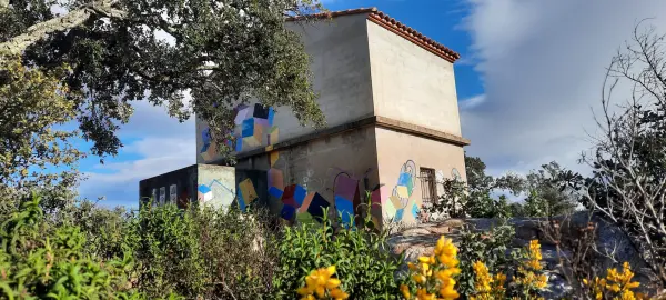 Vivès 66400 – Vente terrain
