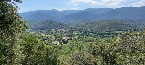 Reynès 66400 – Vente terrain