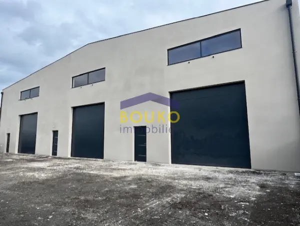 Dombasle-sur-Meurthe 54110 – Location local