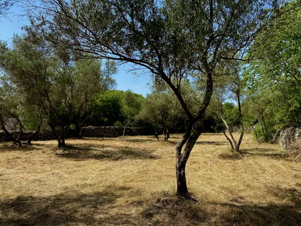 Uzès 30700 – Vente terrain