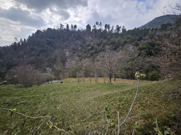 Lucéram 06440 – Vente terrain