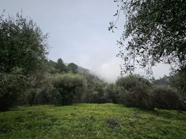 Berre-les-Alpes 06390 – Vente terrain