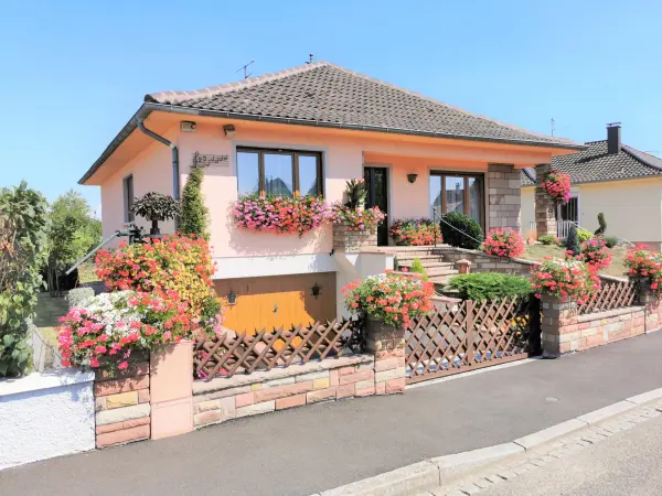 Vendenheim 67550 – Viager maison/villa 5&nbsp;pièces 3&nbsp;chambres