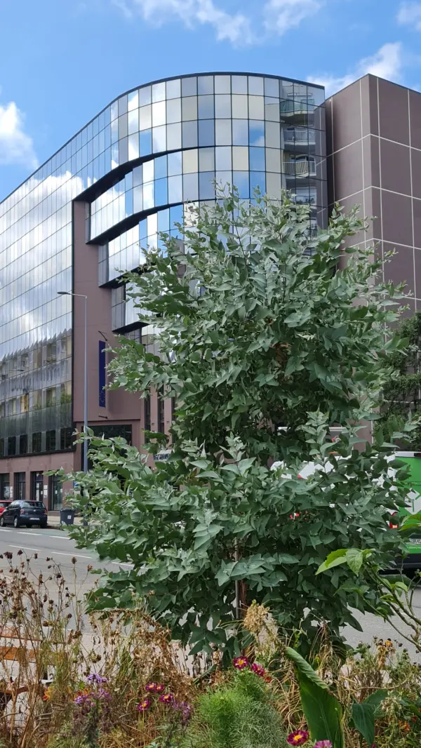 Saint-Étienne 42000 – Location local 6&nbsp;pièces