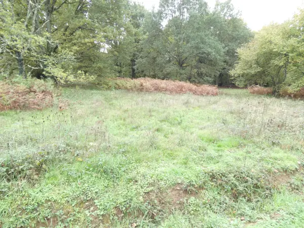 Panazol 87350 – Vente terrain