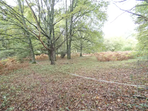 Panazol 87350 – Vente terrain