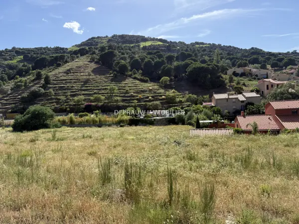 Collioure 66190 – Vente terrain