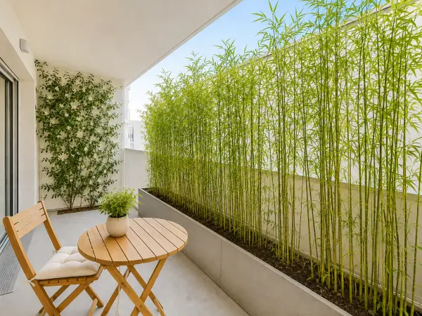 Le Bouscat 33110 – Vente appartement 2&nbsp;pièces 1&nbsp;chambre