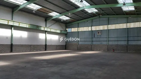 Angers 49100 – Location local