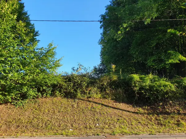 Signy-le-Petit 08380 – Vente terrain