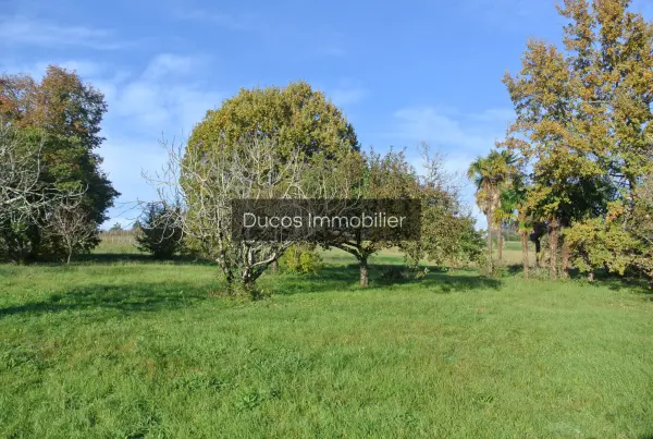 Beaupuy 47200 – Vente terrain