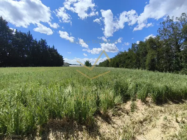 Cavaillon 84300 – Vente terrain