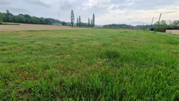 Ledeuix 64400 – Vente terrain