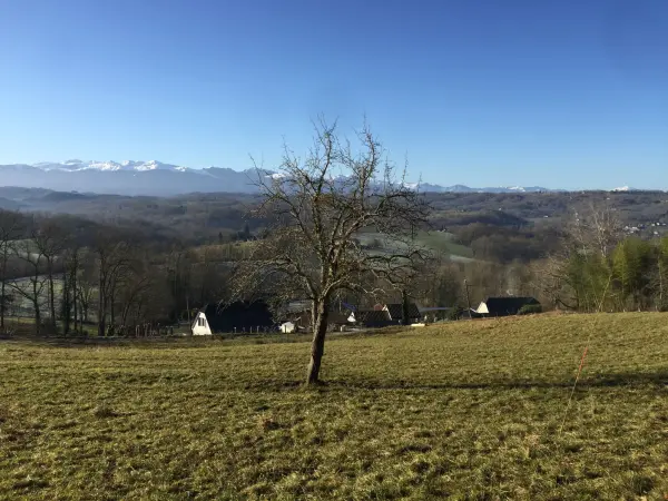 Lasseube 64290 – Vente terrain