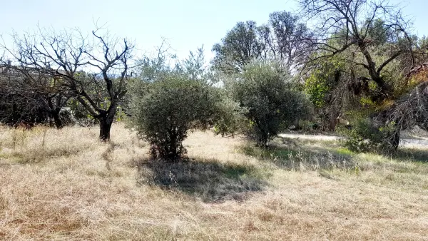 Cabrières-d&rsquo;Avignon 84220 – Vente terrain