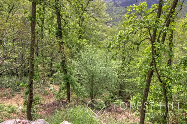 Maureillas-las-Illas 66480 – Vente terrain