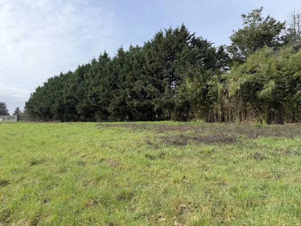 Lugon-et-l&rsquo;Île-du-Carnay 33240 – Vente terrain