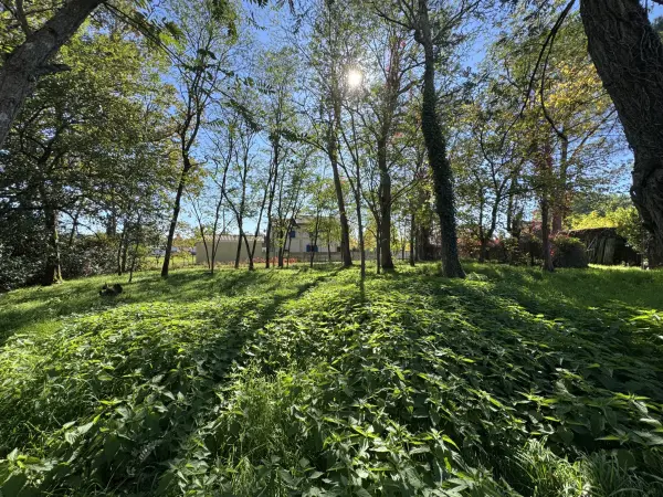 Saint-Yzan-de-Soudiac 33920 – Vente terrain