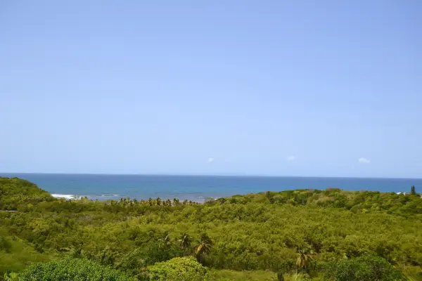 Sainte anne 97180 – Vente terrain