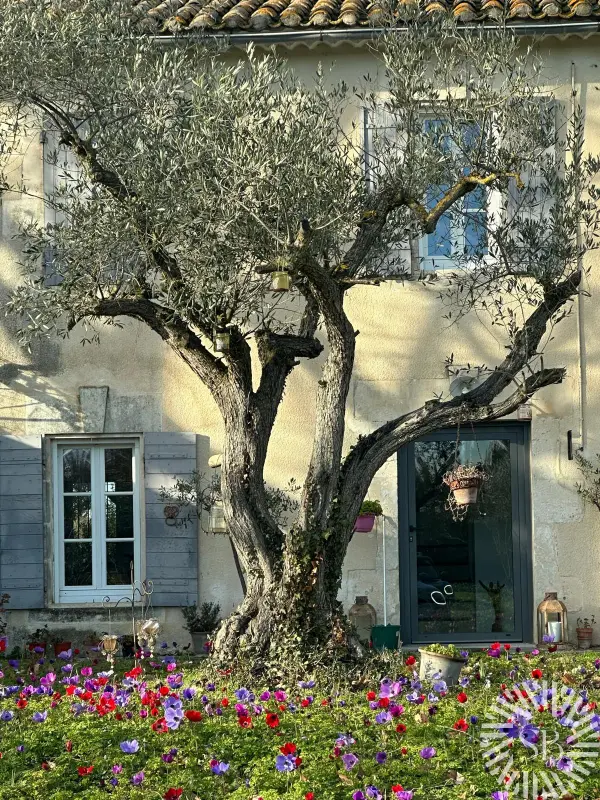 Mollégès 13940 – Vente maison/villa 7&nbsp;pièces 4&nbsp;chambres