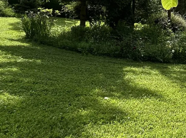 La Ferté-Gaucher 77320 – Vente terrain