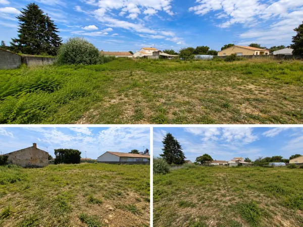 Sainte-Gemme-la-Plaine 85400 – Vente terrain