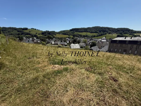 Égliseneuve-d&rsquo;Entraigues 63850 – Vente terrain