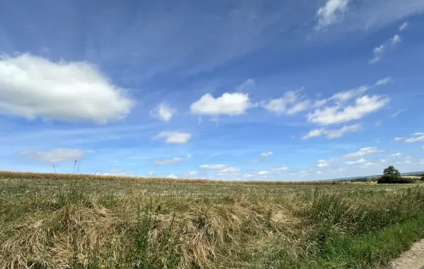 Bertoncourt 08300 – Vente terrain
