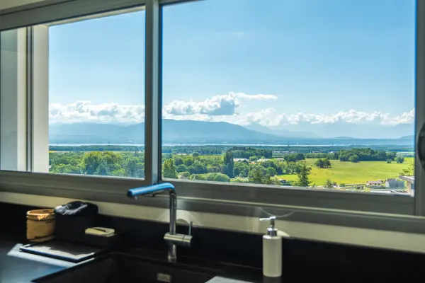 Grilly 01220 – Vente de prestige maison/villa 4&nbsp;pièces 2&nbsp;chambres