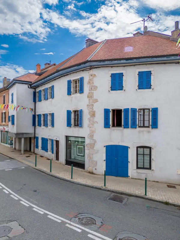 Gex 01170 – Vente maison/villa 10&nbsp;pièces 5&nbsp;chambres