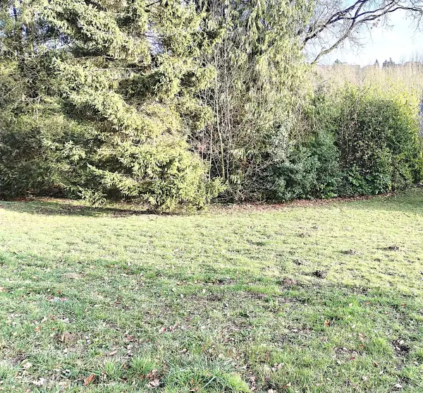 Lécousse 35133 – Vente terrain