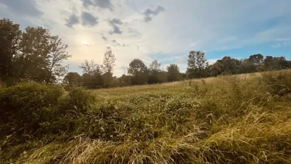 Provency 89200 – Vente terrain