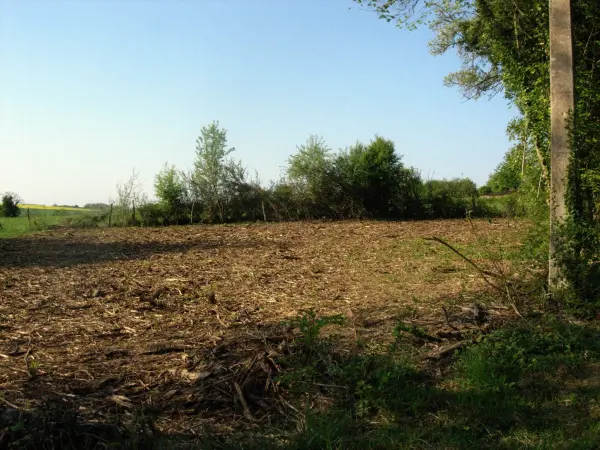 Foissy-lès-Vézelay 89450 – Vente terrain