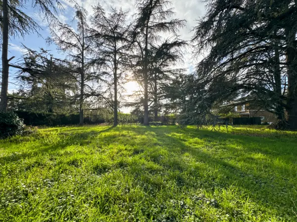 Saint-Bernard 01600 – Vente terrain