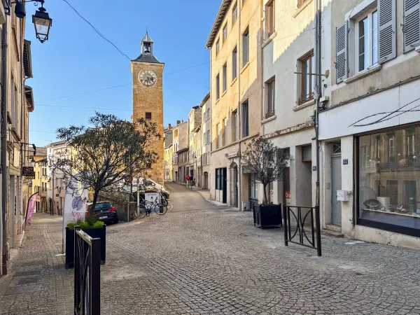 Trévoux 01600 – Vente local