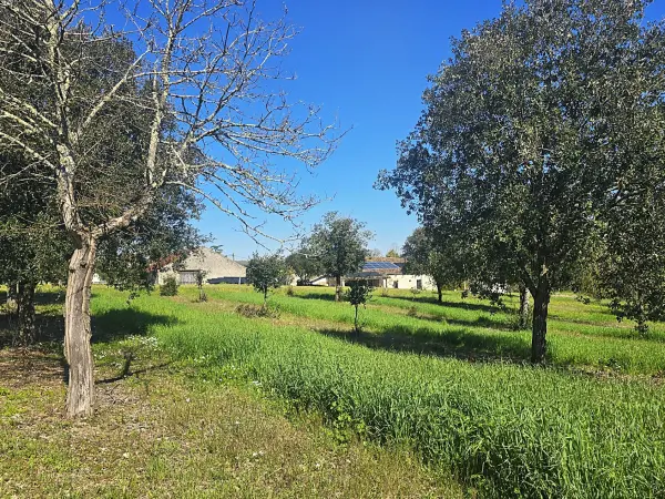 Lacaussade 47150 – Vente maison/villa 6&nbsp;pièces 3&nbsp;chambres