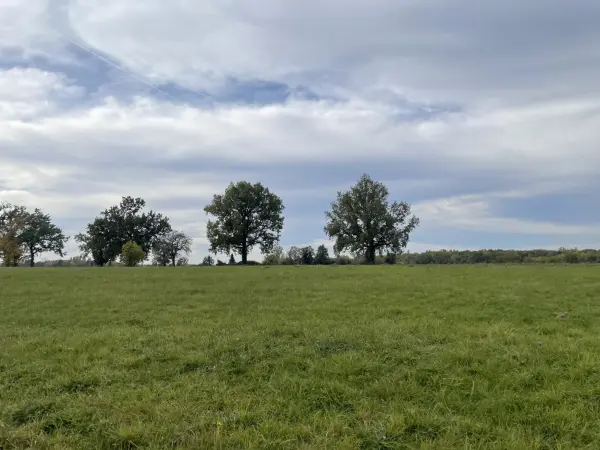 Nègrepelisse 82800 – Vente terrain