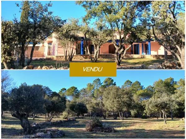 Aups 83630 – Viager Maison 5&nbsp;pièces 4&nbsp;chambres