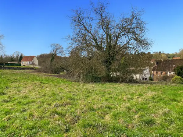 Courtenay 45320 – Vente terrain