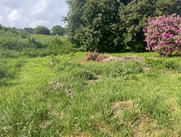 Lizio 56460 – Vente terrain