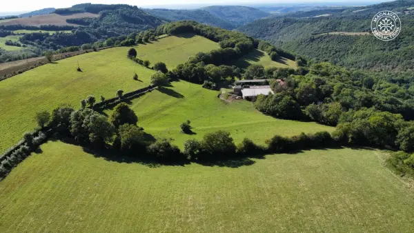 Montredon-Labessonnié 81360 – Vente maison/villa 9&nbsp;pièces 3&nbsp;chambres