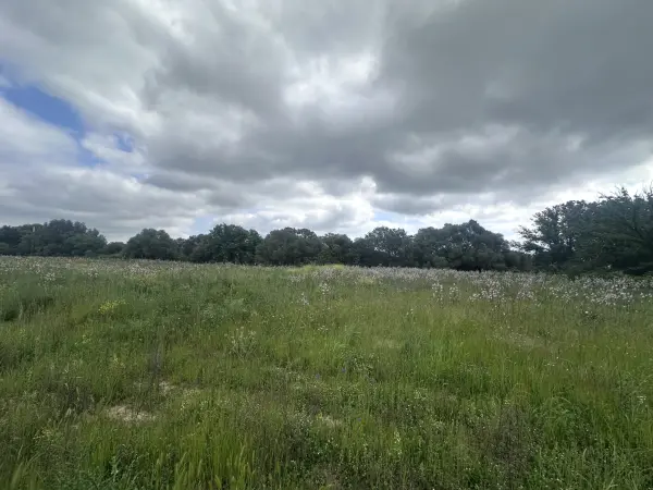 Prunelli-di-Fiumorbo 20243 – Vente terrain