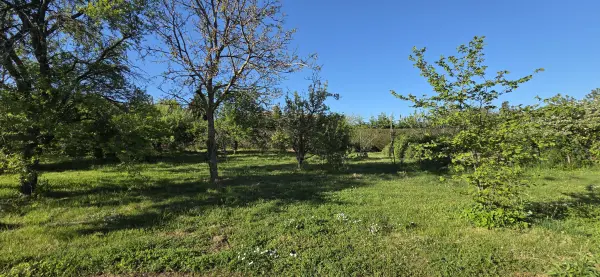 Alboussière 07440 – Vente terrain