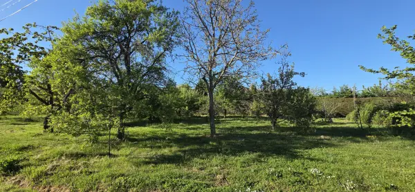 Alboussière 07440 – Vente terrain
