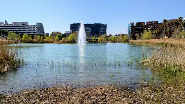 Montpellier 34000 – Vente appartement 3&nbsp;pièces 2&nbsp;chambres