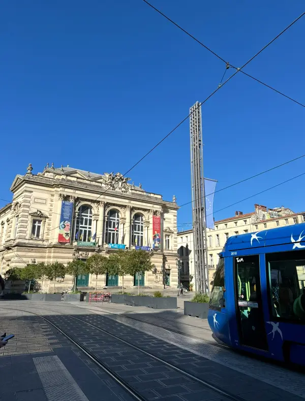 Montpellier 34000 – Vente appartement 7&nbsp;pièces 6&nbsp;chambres