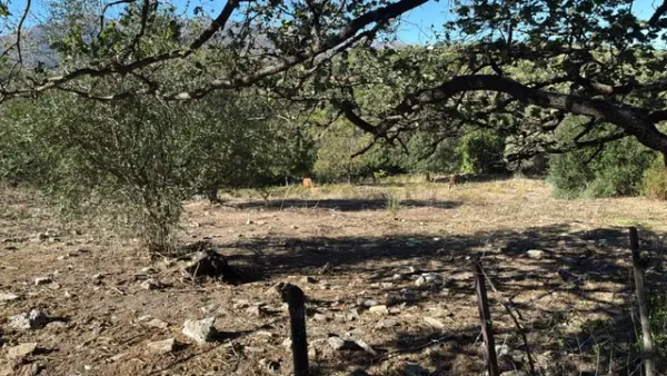 Rapale 20246 – Vente terrain