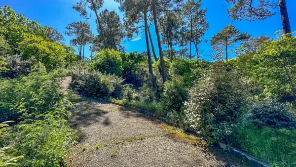 Arcachon 33120 – Vente terrain