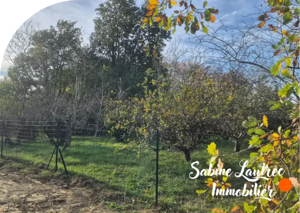 Vénès 81440 – Vente terrain